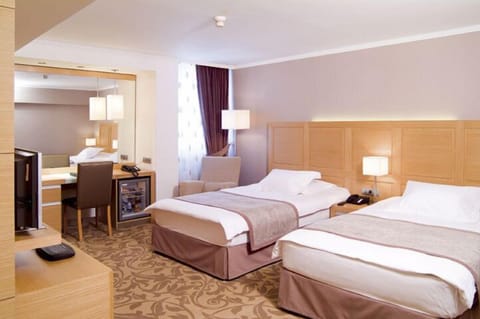 Standard Room, 2 Twin Beds | Down comforters, minibar, in-room safe, desk