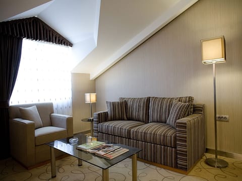 Suite | Living room | 26-inch plasma TV with satellite channels, TV, DVD player