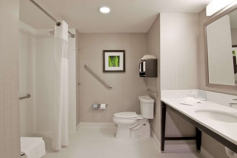 Room, 1 King Bed, Accessible (Roll In Shower) | Bathroom | Hair dryer, towels