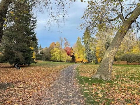 Lushly wooded 50 acre Ravenna Park is just a block away