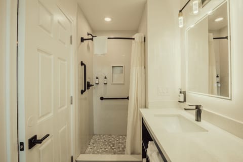 Deluxe King Suite - No Pets, Non-Smoking | Bathroom | Shower, eco-friendly toiletries, hair dryer, towels