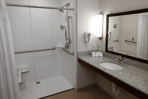 Room, 1 King Bed, Accessible (Communications, Mobil, Roll-In Shower) | Bathroom | Combined shower/tub, free toiletries, hair dryer, towels