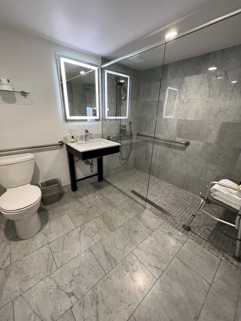 Standard Room, 1 Queen Bed (ADA) | Bathroom | Shower, free toiletries, hair dryer, towels