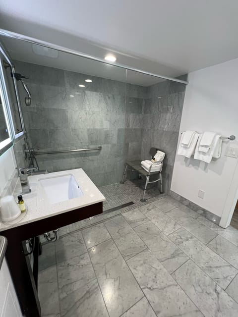 Standard Room, 1 Queen Bed (ADA) | Bathroom | Shower, free toiletries, hair dryer, towels