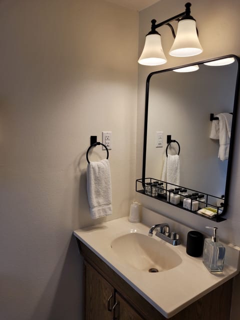 Deluxe Room | Bathroom | Free toiletries, hair dryer, soap, shampoo