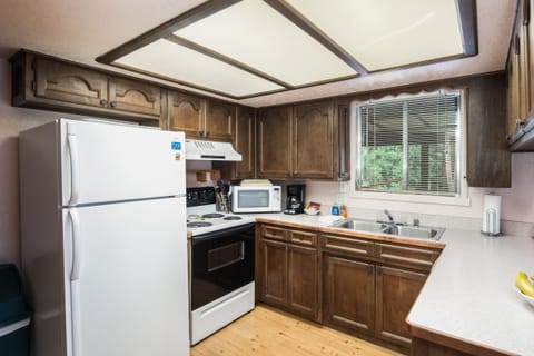 Cabin, Multiple Beds, Patio, Mountain View | Private kitchen | Fridge, microwave, oven, stovetop