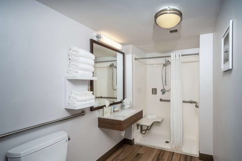 Room, 2 Double Beds, Accessible (Roll-In Shower) | Bathroom shower