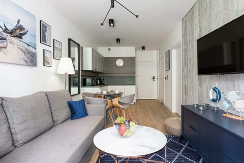 Comfortable, fold-out sofa in the living room. 