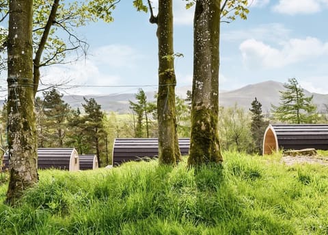 Typical accommodation | Lowside Farm Glamping, Troutbeck