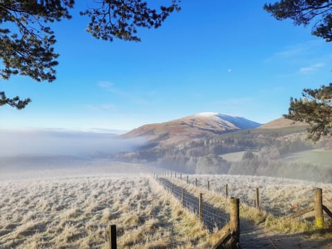 Surrounding area | Devin Lodge, Dollar