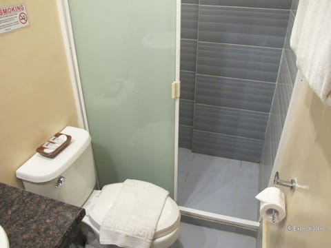 Family Room | Bathroom | Shower, free toiletries, towels