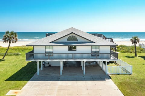 Buffalo Dunes