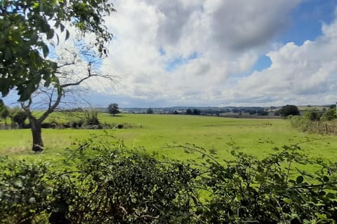 Immediate Surroundings [summer] (&lt;1 km)