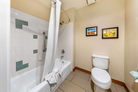 Combined shower/tub, free toiletries, hair dryer, towels