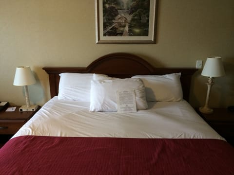 Room, 1 Queen Bed | In-room safe, desk, soundproofing, free WiFi