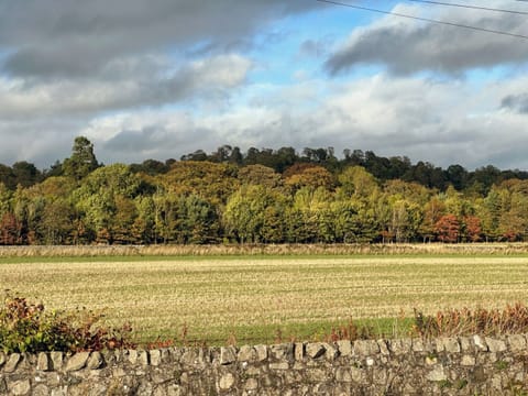 Surrounding area | Denburn Cottage, Colinsburgh, near Elie and Anstruther