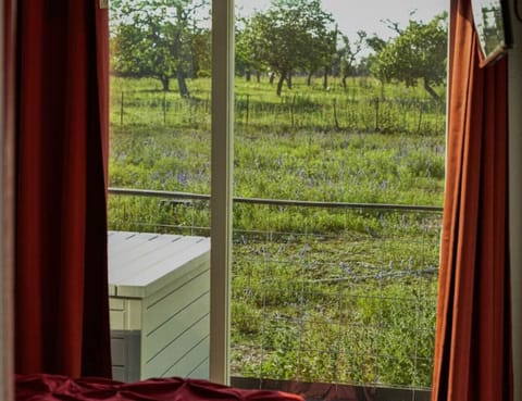 Peaceful property grounds with native Texas landscape and wildlife — a true Fredericksburg countryside retreat.