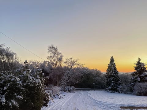 Driveway | Tanglemere, Broadway