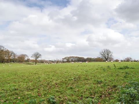 View from garden | The Old Vicarage, Westward, near Wigton