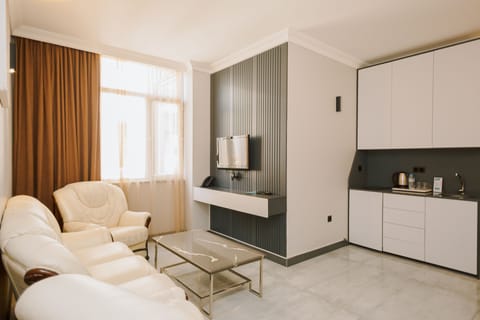 Executive Room, 1 King Bed with Sofa bed, Kitchen, City View | Minibar, in-room safe, desk, iron/ironing board