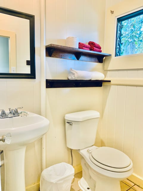 Standard Room | Bathroom