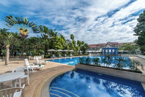 Outdoor pool, sun loungers