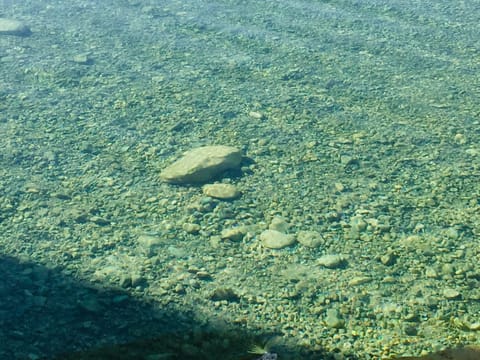 Beautiful, clear water of the Nueces River.