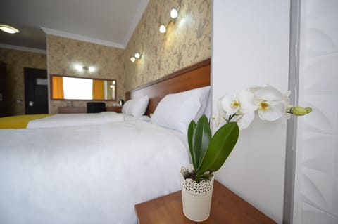 Family Triple Room | In-room safe, iron/ironing board, free WiFi