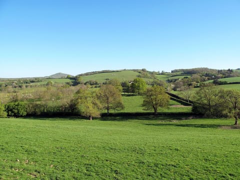 Furniture, Cabinetry, Property, Table, Tableware, Interior Design, Dishware, Wood, Countertop, Drawer