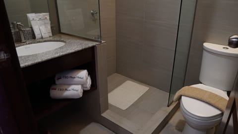 Triple Room | Bathroom | Shower, free toiletries, slippers, towels