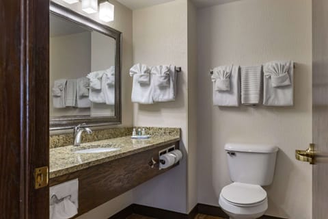 Executive suite Non smoking, King and Sofa bed, Hot Tub (NO PETS) | Bathroom | Eco-friendly toiletries, hair dryer, towels