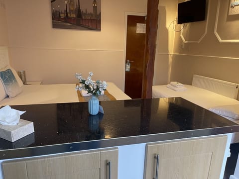 Triple Studio | Private kitchen | Fridge, electric kettle