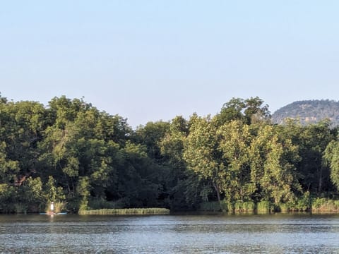 Creek inlet directly on opposite side of lake.