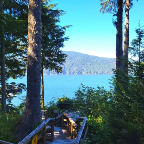 view from viewing platform