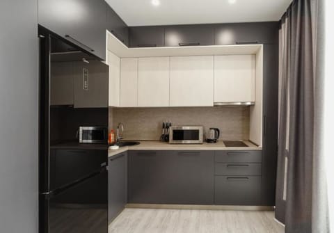 Premium Apartment | Private kitchen | Full-size fridge, microwave, stovetop, coffee/tea maker