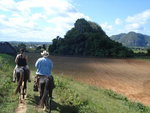 Horseback riding