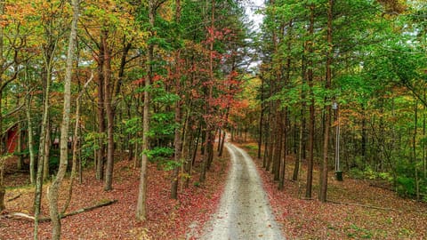 Driveway through the 25 acre property