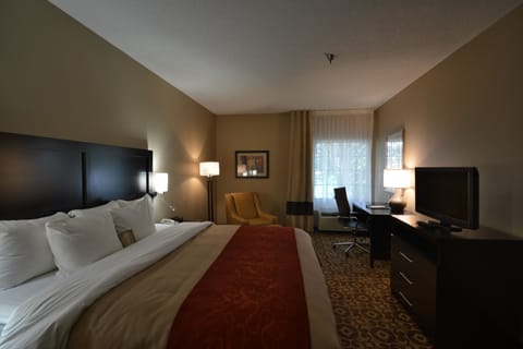 Standard Room, 1 King Bed, Non Smoking | Egyptian cotton sheets, premium bedding, down comforters, pillowtop beds