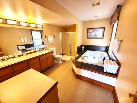 Presidential Double Room, 1 King Bed, Jetted Tub, Lake View | Bathroom | Hair dryer, towels, soap, shampoo