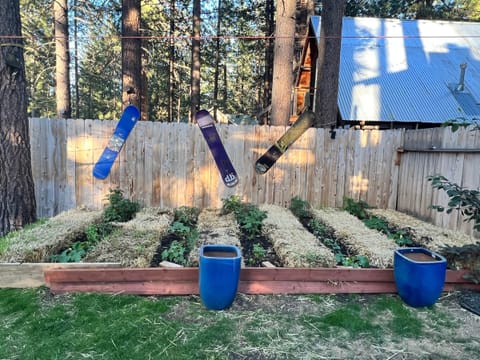 Garden beds- Pick a salad