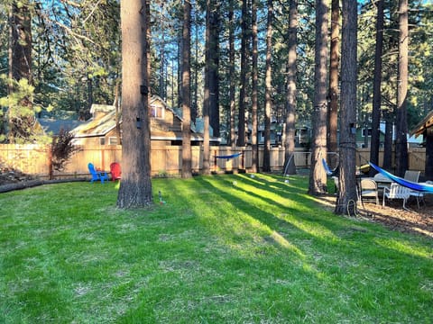 Backyard Soccer Field in the summer