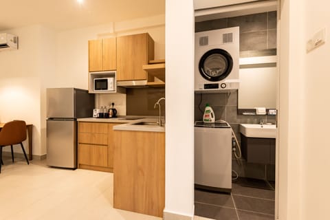 Executive Apartment | Private kitchen | Fridge, coffee/tea maker, electric kettle