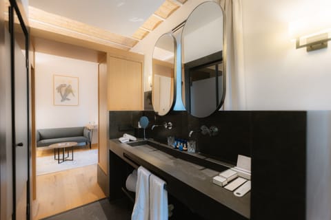 Deluxe Suite | Bathroom | Shower, hydromassage showerhead, hair dryer, bathrobes