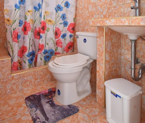 Comfort Triple Room | Bathroom | Shower, rainfall showerhead, hair dryer, towels