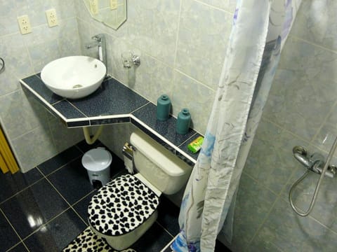 Deluxe Double Room | Bathroom | Shower, rainfall showerhead, hair dryer, towels