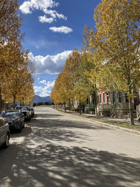 Our beautiful street at the end of South Main.