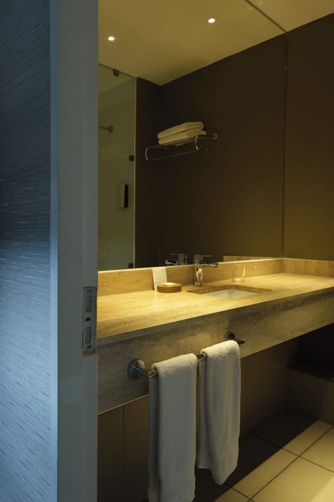 Executive Room | Bathroom