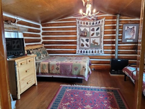 back room with TV & Queen bed