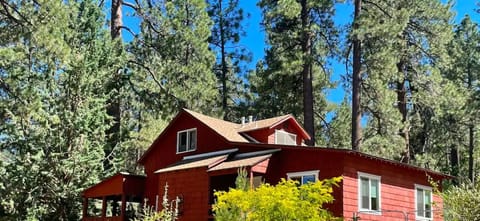 Charming red cabin nestled in the pines, with modern comforts and a prime location.