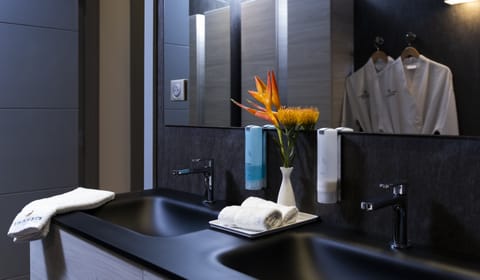 Apartment | Bathroom | Shower, hair dryer, bathrobes, towels